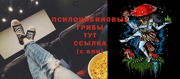 гашик Ладушкин