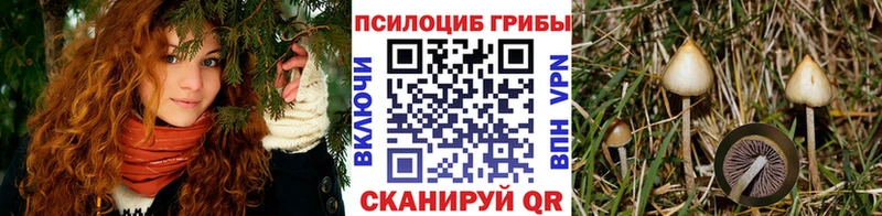 Галлюциногенные грибы Psilocybine cubensis  Приволжский 